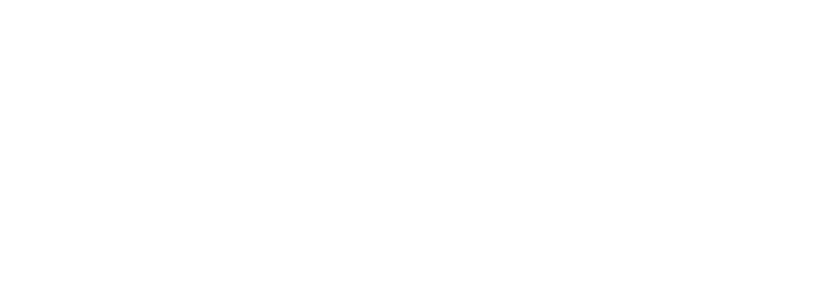 MonzinoRun-LCDC-white